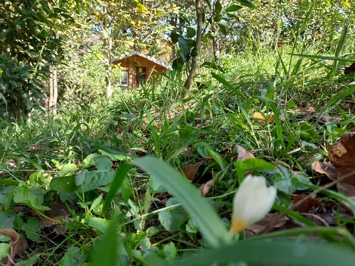 تصویر 19 - کلبه جنگلی شیروان(واحد3) در  ماسال