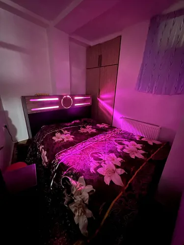 تصویر 7 - خانه کاج در لنگرود