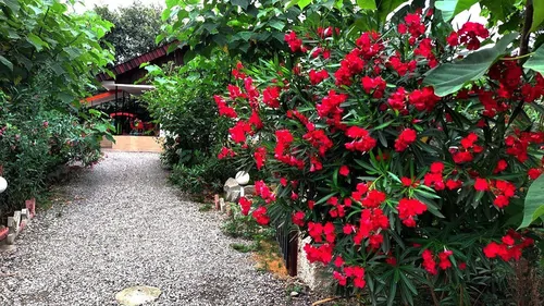 تصویر 9 - ویلا باغ گلها (واحد1) در  شهسوار