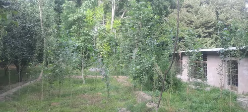 تصویر 5 - ویلا خانه ای بر روی اب در  باغ بهادران