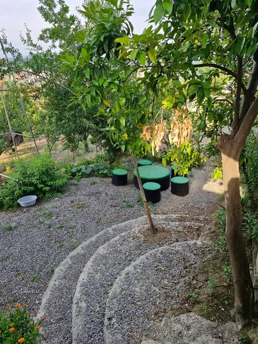 تصویر 12 - کلبه ماه ثنا در  سوادکوه