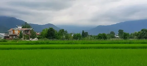 تصویر 24 - ویلا چوبی کوتوم در ماسال