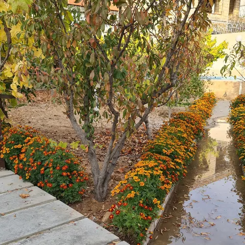 تصویر 5 - ویلا عمارت هامون در  کردان