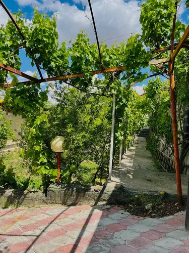 تصویر 15 - ویلا باغ لاچین در تبریز