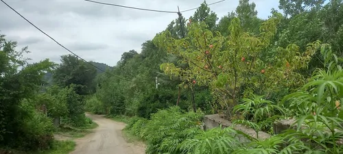 تصویر 2 - ویلا ویلاجنگلی لاکچری در تالش