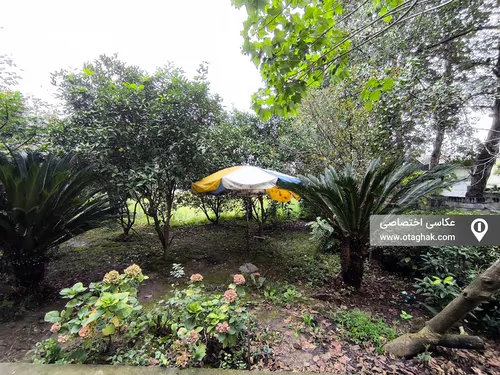 تصویر 10 - ویلا باغ نیکوکار در چالوس