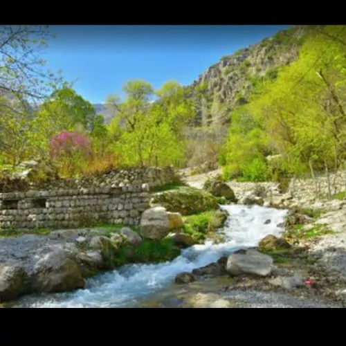 تصویر 2 - ویلا کیانی در ایذه