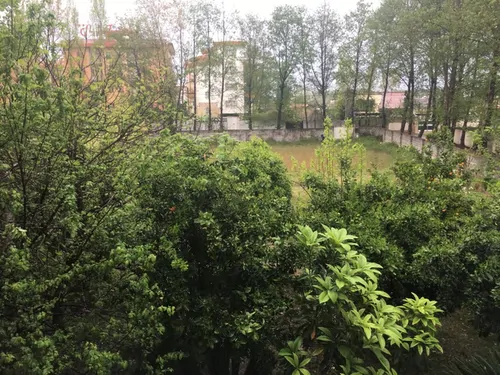 تصویر 26 - ویلا  باغ نیکوکار در  چالوس