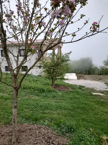 تصویر 22 - ویلا جنگلی لزیر در  چمستان
