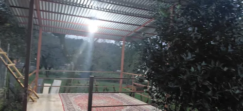 تصویر 15 - کلبه چوبی نارنج در ماسال