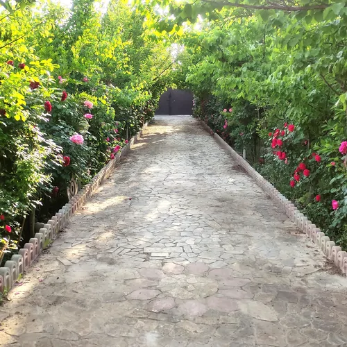 تصویر 11 - ویلا باغ فردوسی در  مشهد