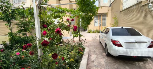 تصویر 10 - خانه ویلایی اقاقیا در مشهد