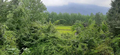 تصویر 17 - کلبه جنگلی پارسا (4) در  ماسال