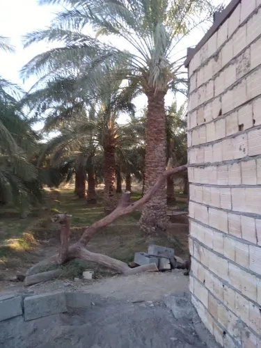 تصویر 3 - اقامتگاه بوم‌گردی مهر سلطان (اتاق 2) در فهرج