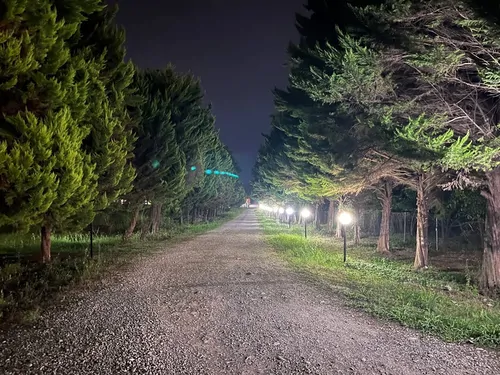 تصویر 23 - ویلا آویشار (واحد جامی) با صبحانه رایگان در اسالم