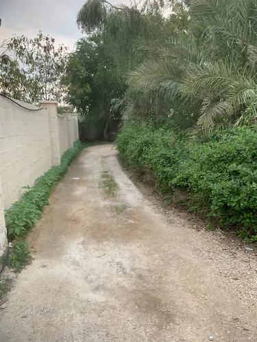 تصویر 9 - سوییت ویلایی باغی هومان (همکف) در  پارسیان
