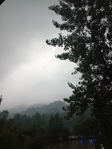تصویر 2 - کلبه کلبه جنگلی پرنسا با ویوی عالی در دل جنگل لفور با تمام امکانات  در لفور