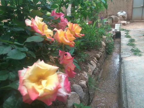 تصویر 5 - اقامتگاه بوم‌گردی رویین دژ (اتاق گردو و بادام) در  اسفراین