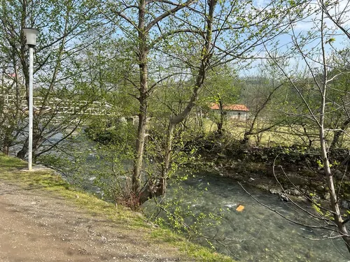 تصویر 18 - ویلا ابریشم در  اسالم