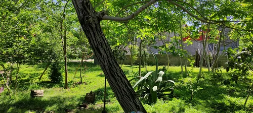 تصویر 11 - ویلا باغ گیلدا در  سراوان