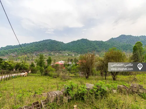 تصویر 16 - کلبه چوبی ابیشی در  ماسال