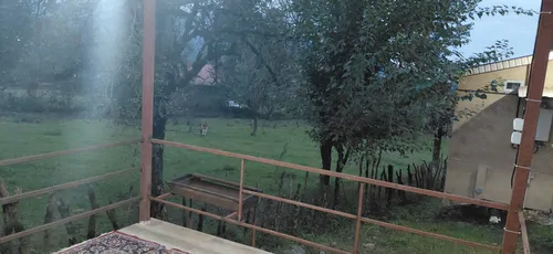 تصویر 17 - کلبه چوبی نارنج در ماسال