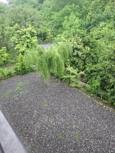 تصویر 17 - کلبه مهرا (۲) در سوادکوه