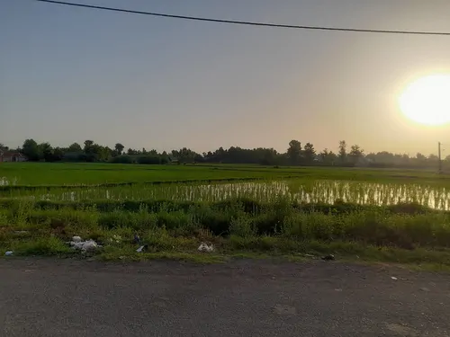 تصویر 5 - خانه خانه مسلم در  رشت