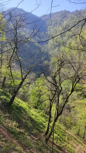 تصویر 10 - ویلا گلستان در  هشتگرد