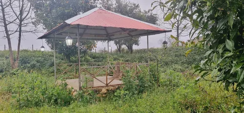 تصویر 2 - ویلا ویلا طرح سنتی با محوطه بزرگ و باغ مرکبات و چای در قلعهرودخان
