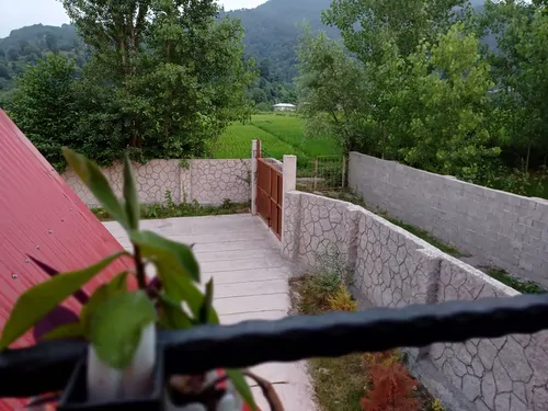 تصویر 19 - کلبه سوئیسی بی‌ریا در  ماسال