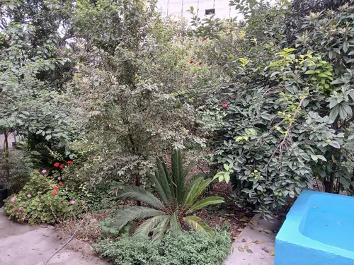 تصویر 2 - ویلا خانه باغ با حوض زیبا در قائمشهر