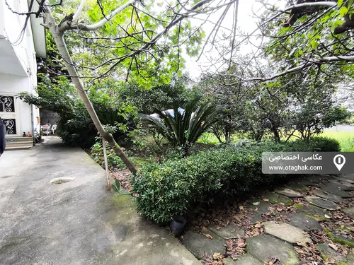 تصویر 13 - ویلا باغ نیکوکار در چالوس