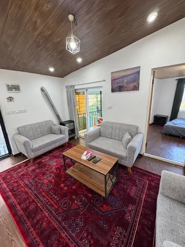 تصویر 7 - ویلا جنگلی دالخانی با جکوزی روباز در  رامسر