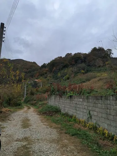 تصویر 23 - کلبه سوئیسی جنگلی شریف در رامسر