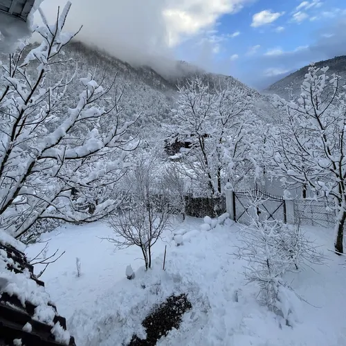 تصویر 26 - ویلا نوئل توسکستان با دیزاین چوب در  گرگان