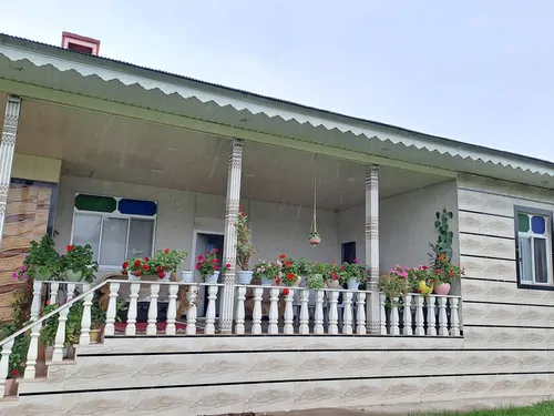 جنگلی امیر علی 