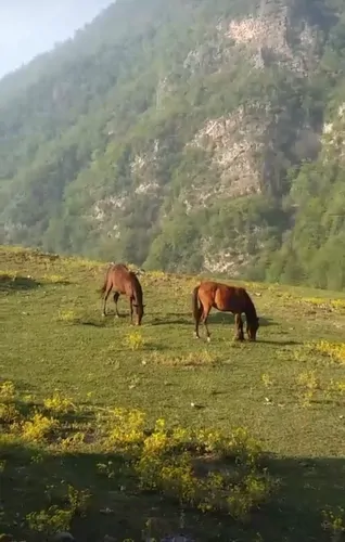 تصویر 23 - ویلا جنگلی لزیر در  چمستان