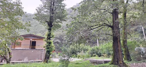 تصویر 12 - ویلا سنتی بهشتی در  سه هزار شهسوار 