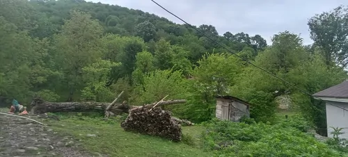 تصویر 12 - کلبه سوئیسی مهرسام  در  ماسال