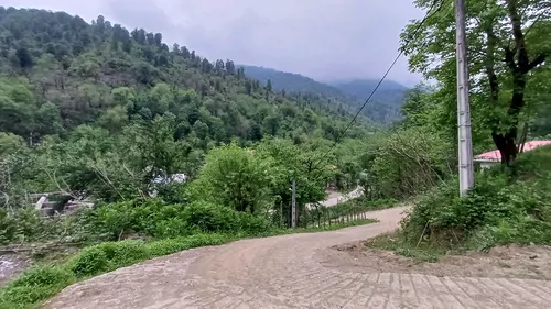 تصویر 19 - ویلا نجار آغوش جنگل و رود در  شفت