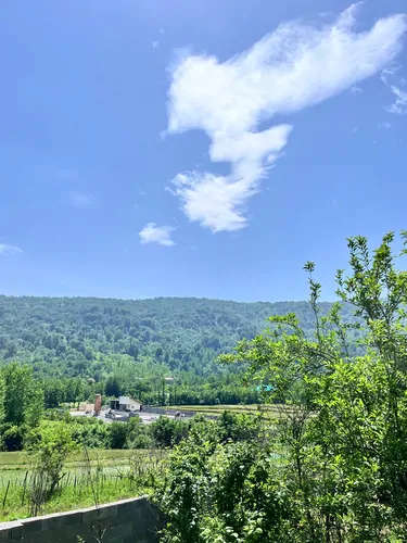 تصویر 17 - ویلا سایناز گلی در شفت
