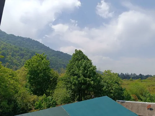 تصویر 19 - کلبه سوییسی انارستان (اسفند) در  نمک آبرود