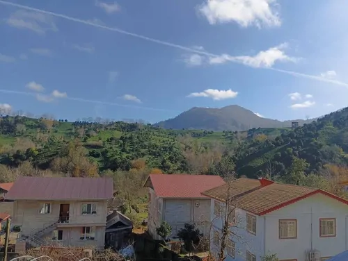 تصویر 15 - ویلا جنگلی سبز در  املش