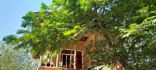 تصویر 3 - کلبه کلبه لاکچری فوق‌العاده زیبا و جنگلی در ماسال