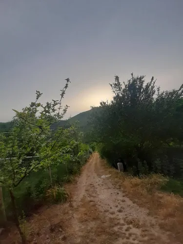 تصویر 5 - ویلا میاندوک در  بهشهر