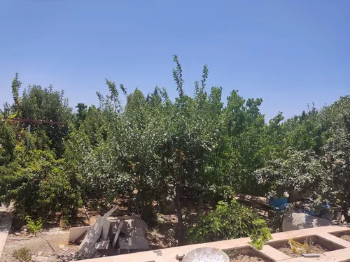 تصویر 5 - ویلا ویلای مهر در  چهارباغ