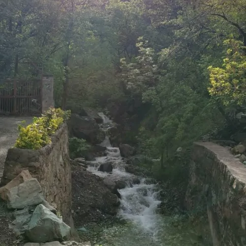 تصویر 4 - کلبه کلبه چوبی در فشم