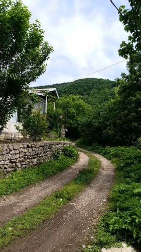 تصویر 2 - ویلا ویلا رو به باغ در رستم آباد