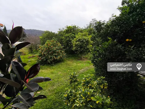 تصویر 22 - ویلا بهشت کوچک در هچیرود